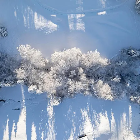 Waldchalets & Allgaeu 4*