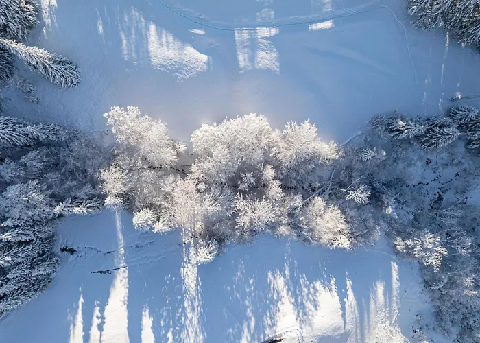 Waldchalets & Allgaeu 4*