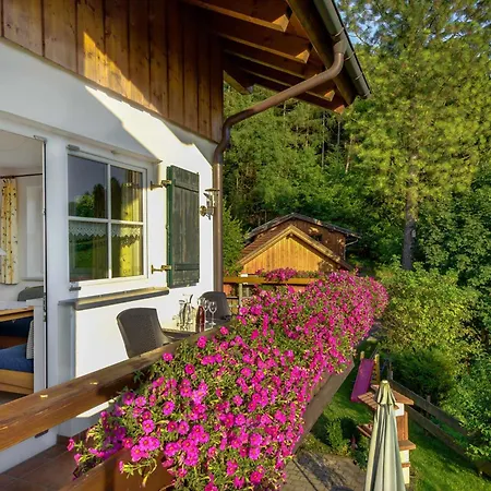 Waldchalets & Allgaeu
